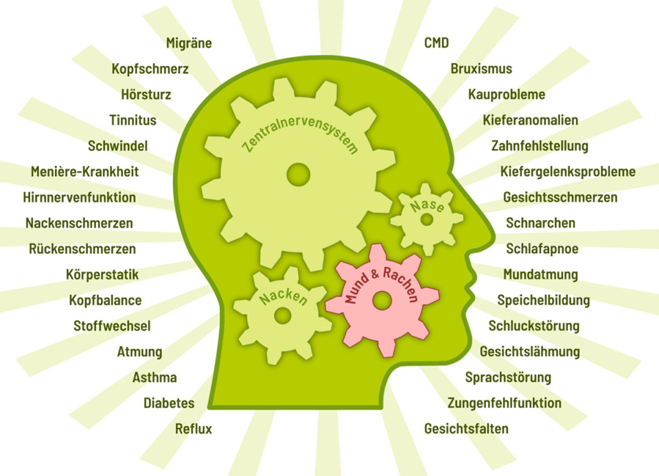 Craniocervikales Dysfunktionssyndrom - CCDS