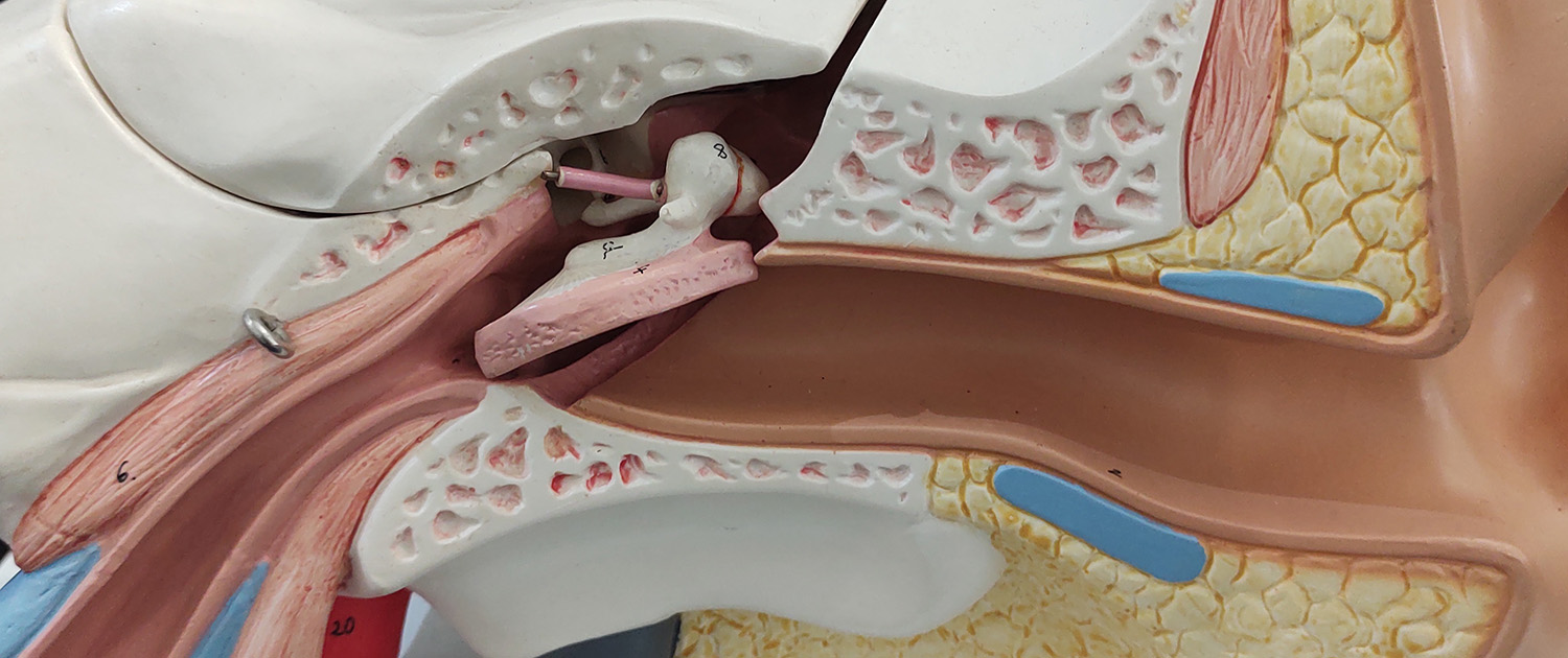 FaceFormer® Therapie bei Tinnitus – Wie funktioniert das?