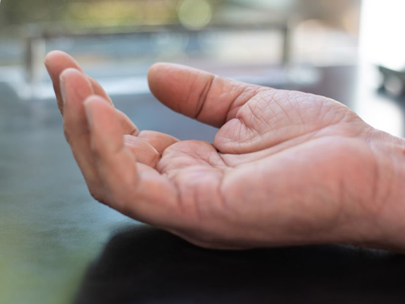 Die Zunge in Ruhelage ähnelt einer geöffneten Hand.