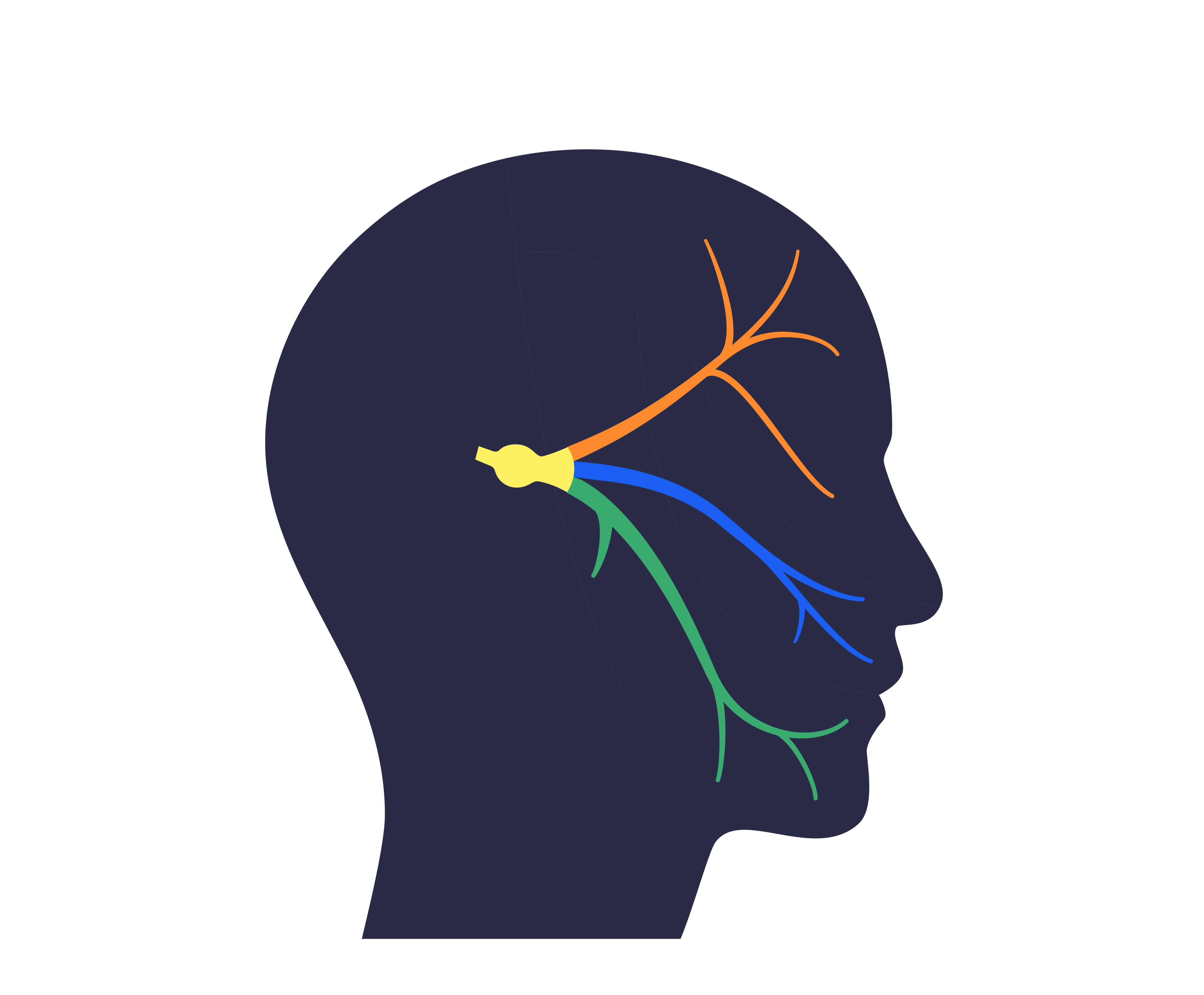Schmerzen im Gesicht – Trigeminusneuralgie