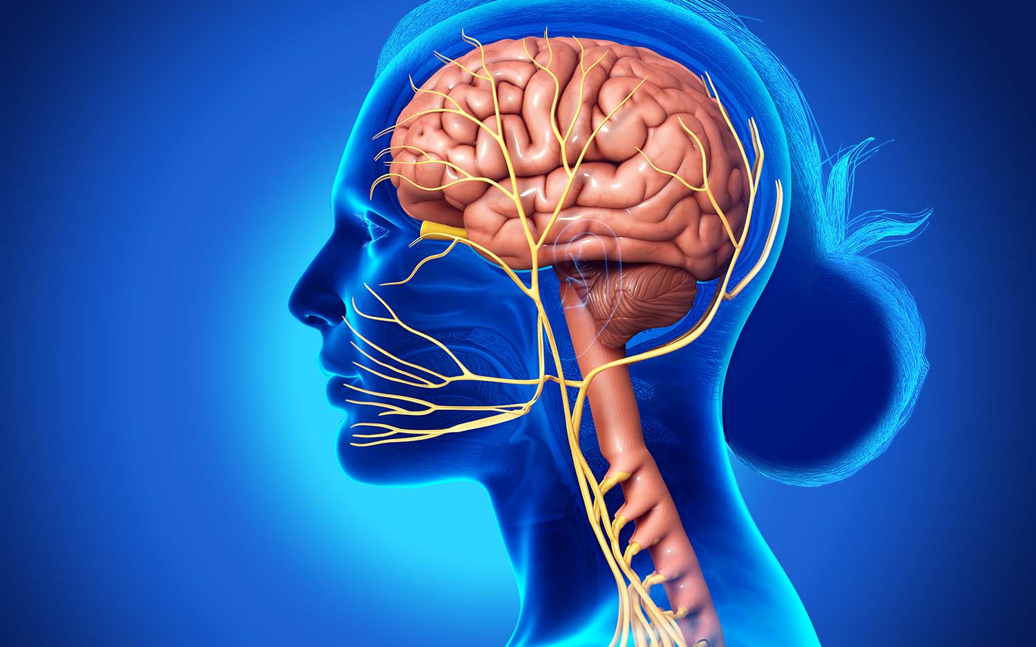 Trigeminusschmerzen – Ursachen und Therapieverfahren