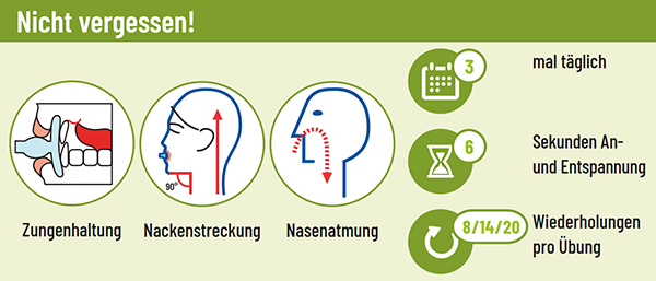 FaceFormer Training: Nicht vergessen - Zungenhaltung, Nackenstreckung, Nasenatmung