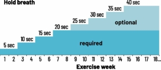 FaceFormer Breathing Exercise - Training Scheme