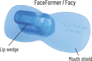 FaceFormer components Lip wedge and mouth shield